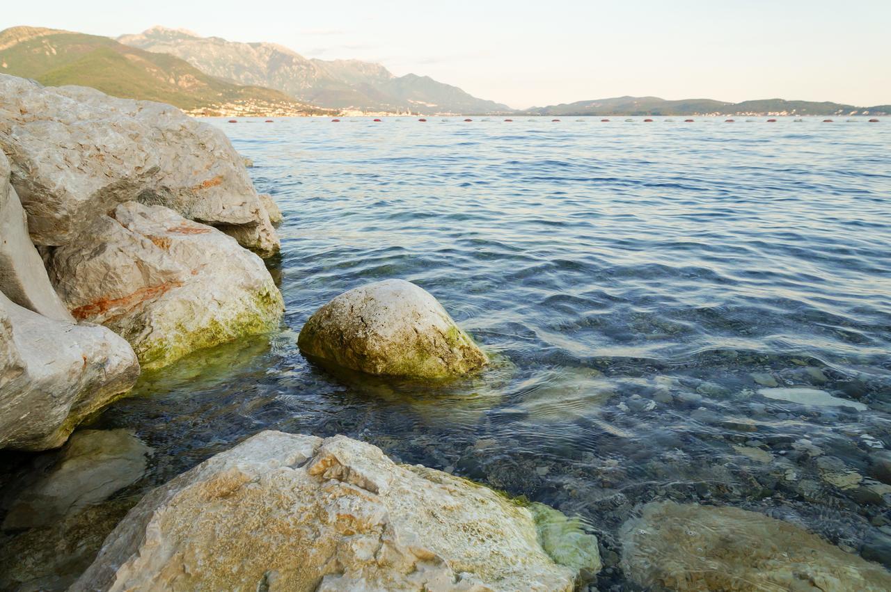 Apartments Apple Cat Montenegro Ko Bijela Εξωτερικό φωτογραφία